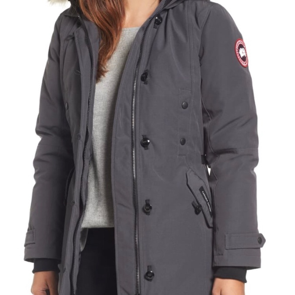 Gray Canada Goose Kensington